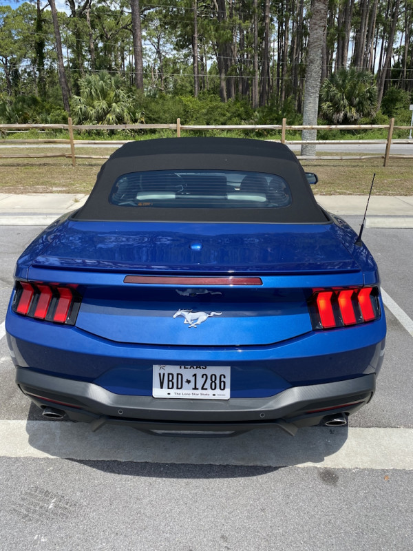 Mustang05.jpg