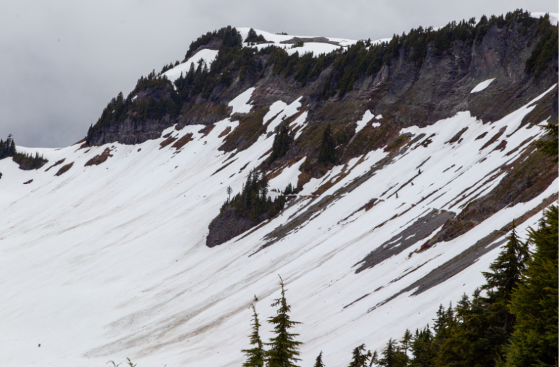 {86D4CBBB-C5B2-429F-AD12-F4ABCF219BC1}.png
