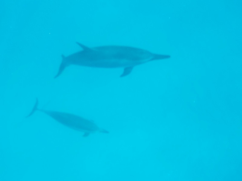DSCN5300.JPG