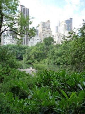 Het grote contrast in New York, een park met daar omheen de enorme gebouwen, bleef ons verbazen!