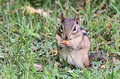 IMG_3439.jpg