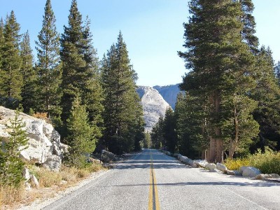 Tioga Road, Yosemite NP