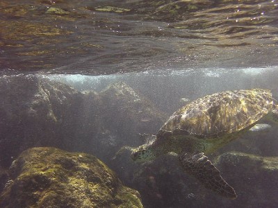 prachtig en zo dichtbij !!