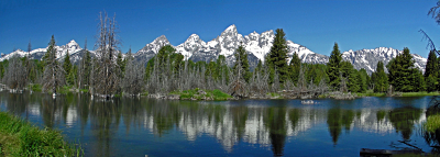 2011-07-01 09-52.jpg