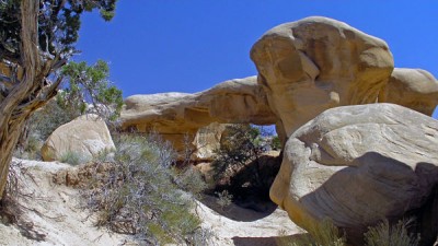 2012-04-06 12-58 5764.jpg