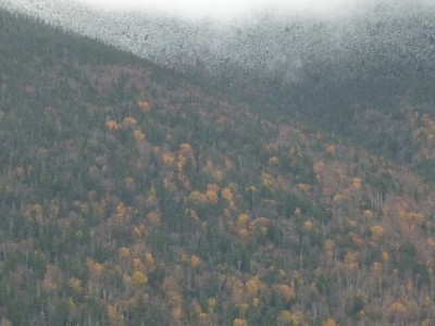 grafton notch lumix 051 - kopie.JPG