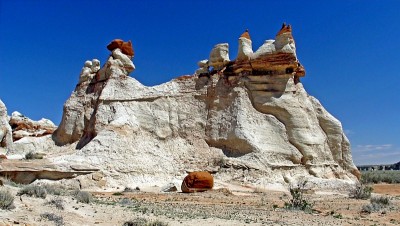 2012-04-09 12-47 6485forum.jpg