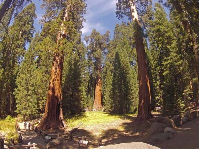 Sequoia National Park (foto middels een Gopro genomen)