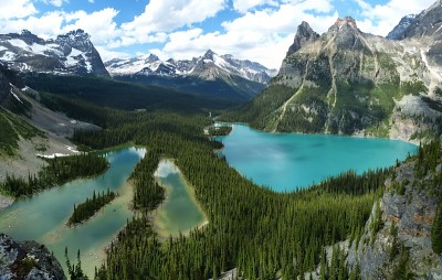 2013-07-05 15-21 232forum.jpg