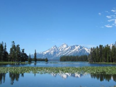 2011-dag8-grand-teton-heron-pond.jpg