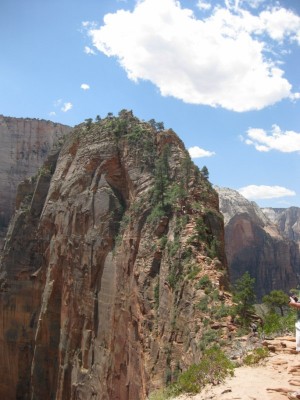 IMG_0448 [800x600].jpg