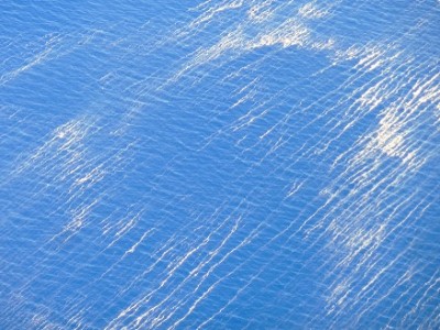 P1160983 stuifmeel klein.jpg