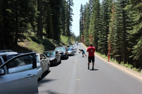 IMG_6213 tioga road klein.jpg