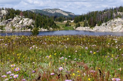 Op weg naar Yellowstone
