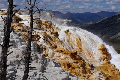 Mammoth Hot Springs