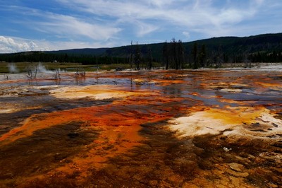 Yellowstone