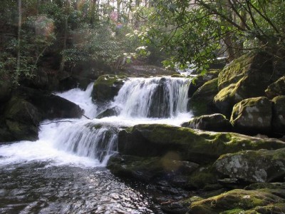 Middle Prong in Tremont