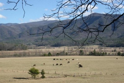 Cades Cove