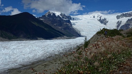 2015-07-14 13-59 260 copyforum.jpg