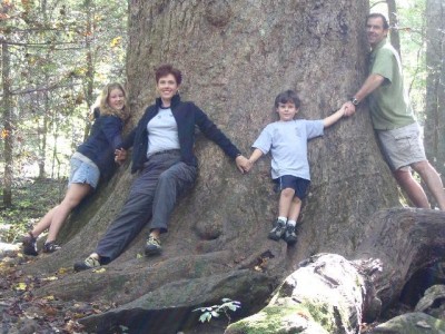 Joyce Kilmer National Forrest