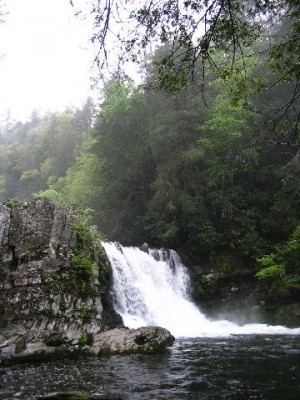Abrams Falls