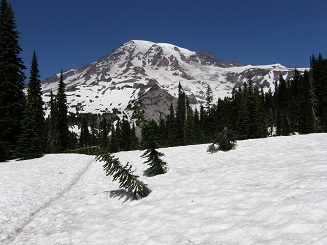 Nisqually Vista Trail.jpg