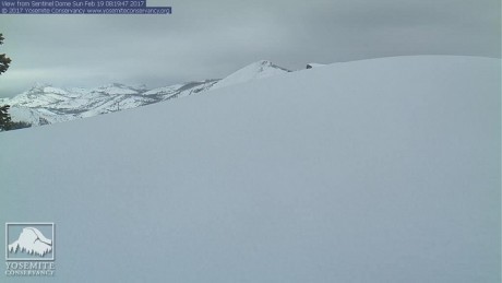 20170219sentinel - kopie.jpg