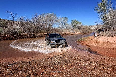 2017-04-04 10-55 006C copy WM Blogforum.jpg