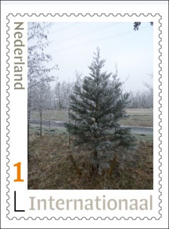 00000000000000 boompje.JPG