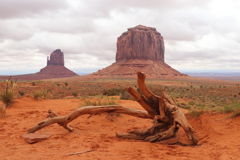 IMG_0956 - kopie.JPG