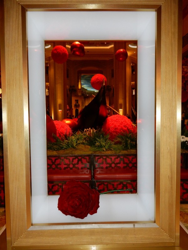 DSCN6429 - kopie.JPG