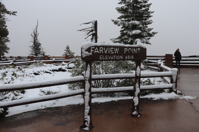 IMG_0812 - kopie.JPG