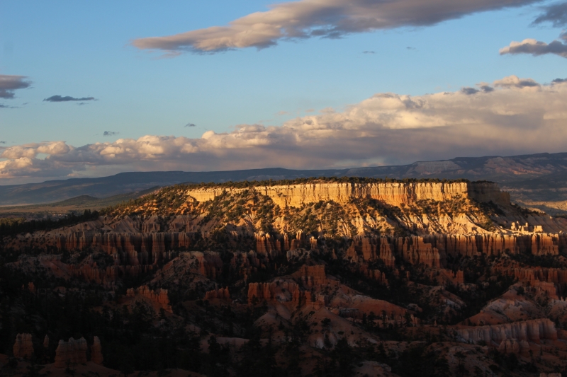 bryce2.jpg