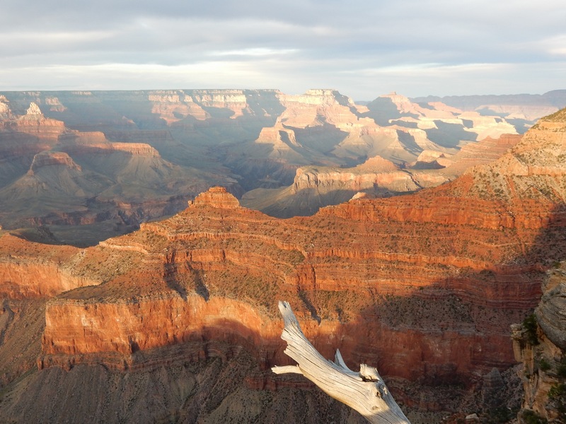 DSCN6527 - kopie.JPG