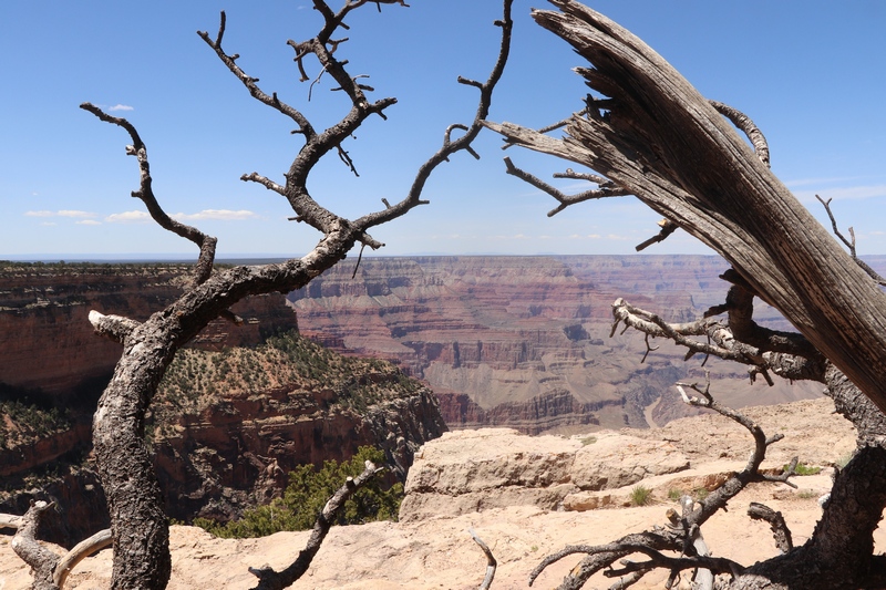 IMG_0536 - kopie.JPG