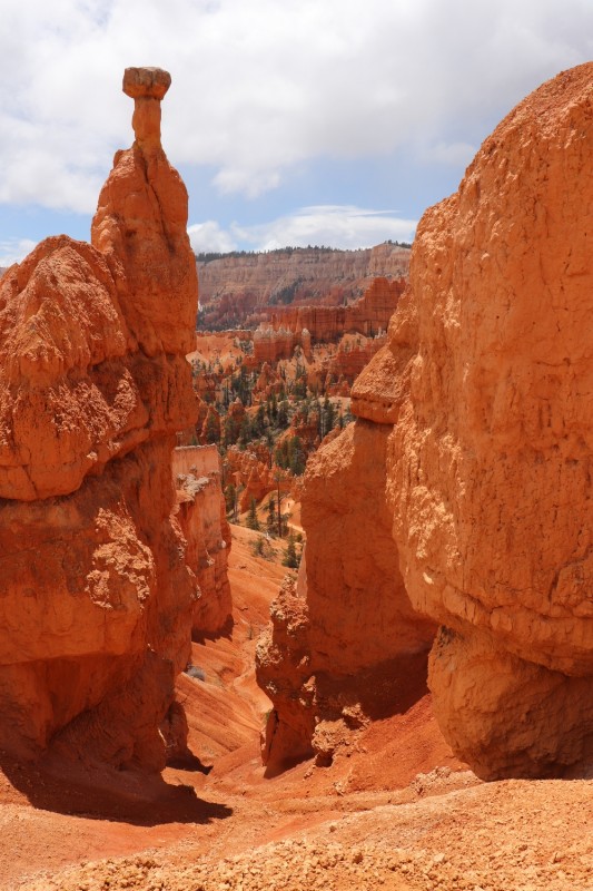 IMG_0848 - kopie.JPG