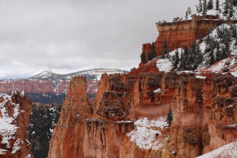 IMG_0818 - kopie.JPG