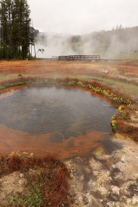 IMG_1320 - kopie.JPG