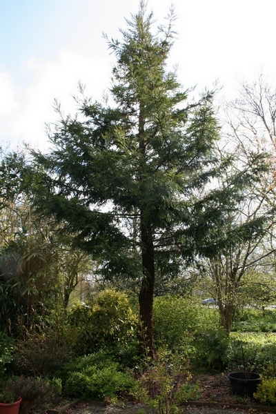 IMG_3428 - kopie.JPG