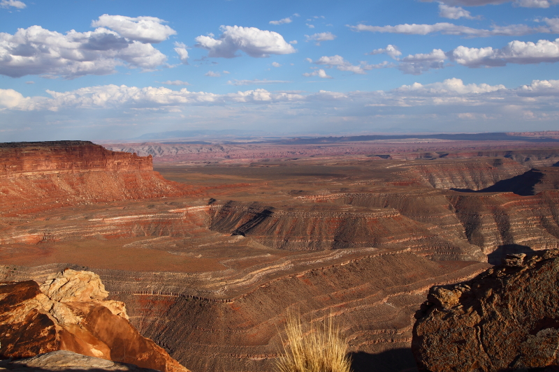 Muley Point 05.JPG