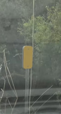 Yellow markers.jpg